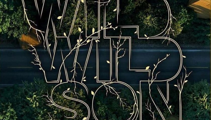  Armin van Buuren estreno remix de "Wild Wild Son" de Sam Martin 